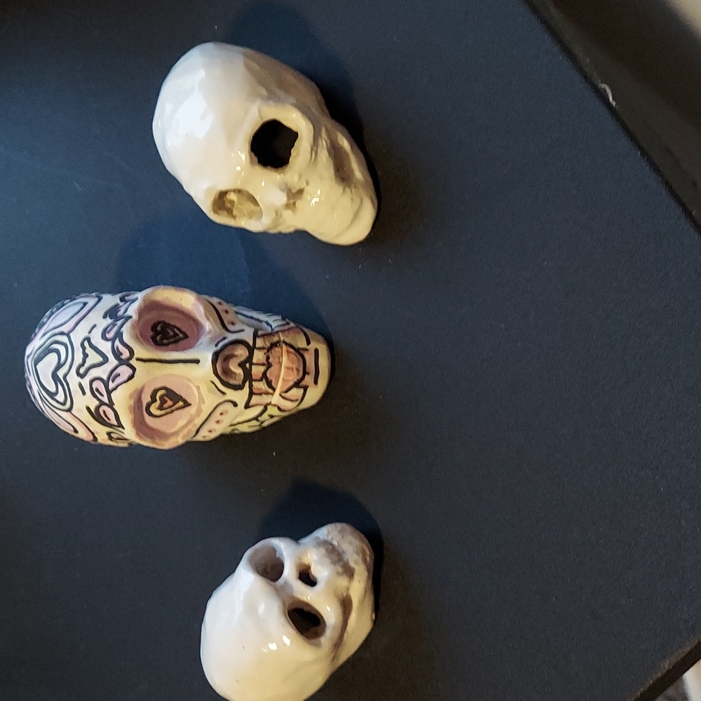 Halloween Skull Collection Set